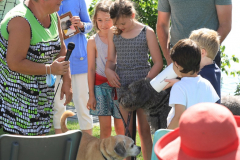 2022-07-31-Blessing-of-the-Animals-web-11